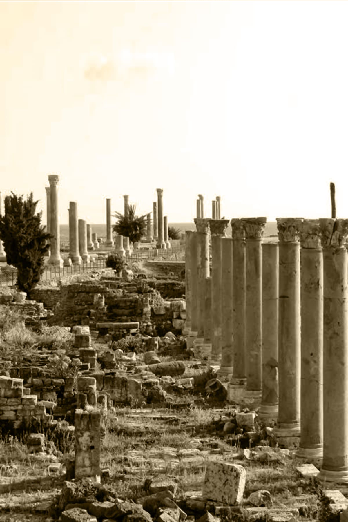 Historisches Motiv aus Tyros